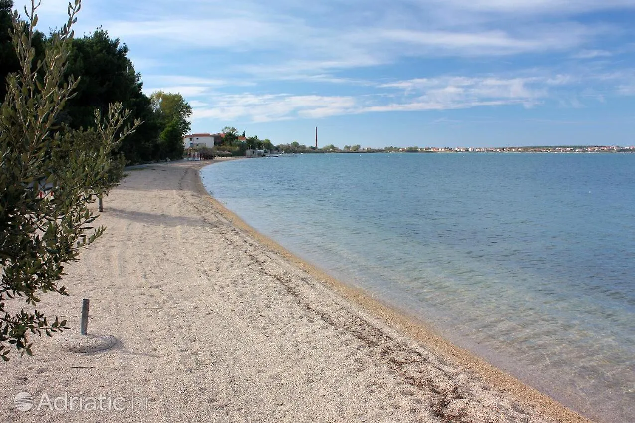 Apartment Leonardo Vrsi